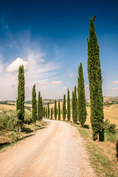 Beautiful Landscape Scenery Tuscany Italy Cypress Trees White Road Aerial — Stock Photo, Image