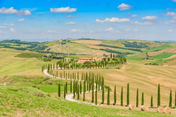 Beautiful Landscape Scenery Tuscany Italy Cypress Trees White Road Aerial — Stock Photo, Image