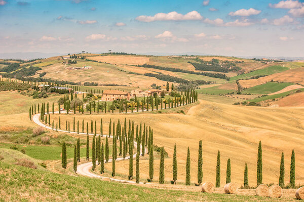 Beautiful landscape scenery of Tuscany in Italy - cypress trees along white road - aerial view -  close to Asciano, Tuscany, Italy