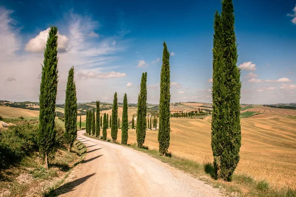 Beautiful Landscape Scenery Tuscany Italy Cypress Trees White Road Aerial — Stock Photo, Image