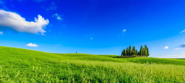 San Quirico Dorcia yakınlarındaki İtalyan selvi grubu - hava manzarası - Güzel manzara - Val Dorcia, Toskana, İtalya 