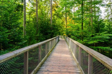 Kara Orman 'da 40 metre yüksekliğindeki Gözcü Kulesi ile Ağaç Tepesi yürüyüşü Sommerberg, Bad Wildbad - Almanya' da seyahat noktası
