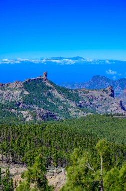 Pico de las Nieves 'ten görüntü - İspanya' nın en yüksek Kanarya dağı