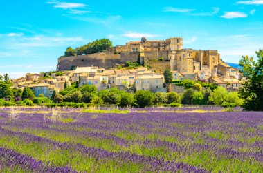 Lavender fields at village Gordes, a small medieval town in Provence, Travel destination in France. clipart