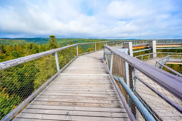 stock image Treetop walk in Black Forest with 40m high Lookout tower with observation deck with beautiful view located at Sommerberg, Bad Wildbad - Travel destination in Germany