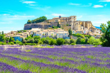 Gordes köyündeki lavanta tarlaları, Fransa 'nın Provence şehrinde küçük bir ortaçağ kasabası..