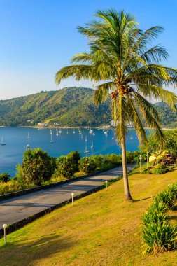 Phuket 'te gün batımında Phromthep pelerini manzarası, Tayland' da cennet plajları olan tropik bir adada güzel bir sahil manzarası.