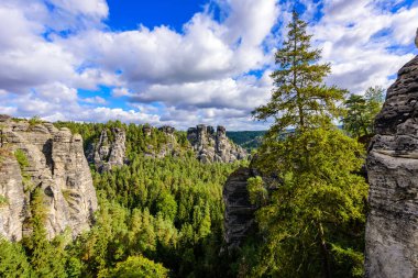 Bastei - Bastei Köprüsü 'ndeki Sakson İsviçre Ulusal Parkı' ndaki güzel kaya oluşumunun görüntüsü - Dresden ve Rathen yakınlarındaki Elbe Sandstone Dağları - Almanya. Saksonya 'da popüler seyahat noktası.