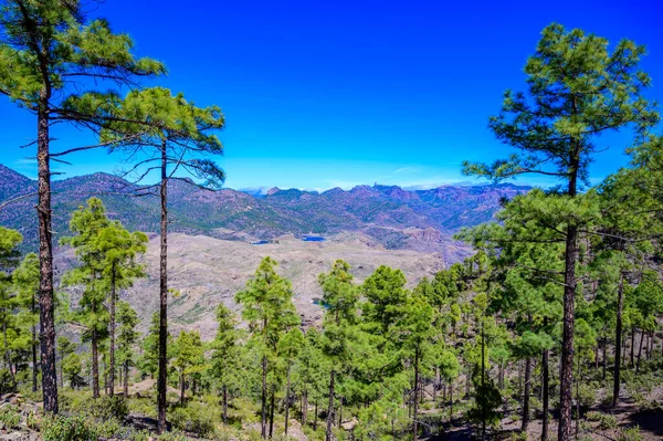 Wandelen Het Berglandschap Van Gran Canaria Eiland Prachtig Landschap Bij — Stockfoto