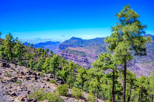 Senderismo Paisaje Montaña Isla Gran Canaria Hermosos Paisajes Pueblo Montaña — Foto de Stock