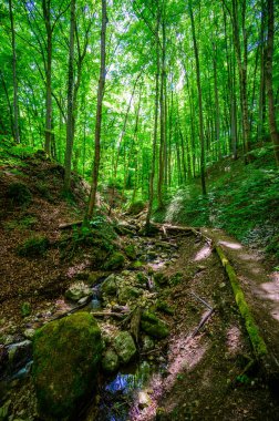 Zipfelbachtal Weilheim Teck, Swabian Alb, Almanya 'da Breitenstein yakınlarında.