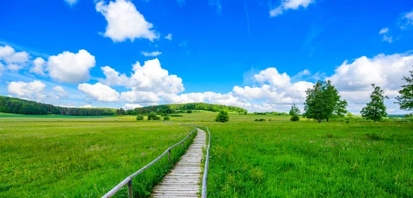 Schopflocher Moor Torfgrube Леннінгені Сваб Альб Красива Пейзажна Сцена Німеччині — стокове фото