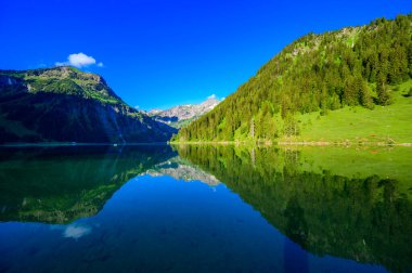 Tannheimer Tal 'da Vilsalpsee (Vilsalp Gölü), Tannheim, Reutte, Tirol, Avusturya' da Alpler 'de güzel bir dağ manzarası