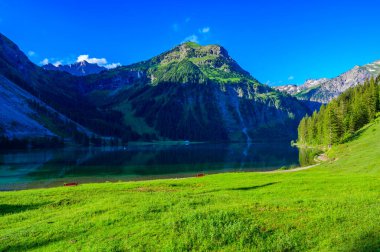Tannheimer Tal 'da Vilsalpsee (Vilsalp Gölü), Tannheim, Reutte, Tirol, Avusturya' da Alpler 'de güzel bir dağ manzarası