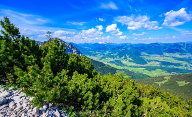 Entschenkopf Dağı 'na yürüyüş, Allgaeu Alplerinin güzel manzarası, Fischen im Allgaeu ve Oberstdorf, Bavyera, Almanya