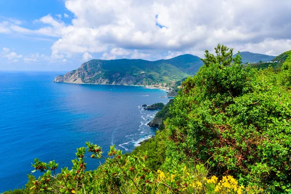 Monterosso Χωριό Cinque Terre National Park Στην Ακτή Της Ιταλίας — Φωτογραφία Αρχείου