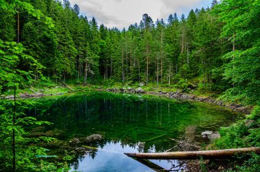 Steinringpriel Gölü - Alman Alpleri, Bavyera, Almanya, Avrupa 'daki Eibsee Gölü' nün güzel manzarası.