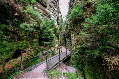 Bastei Ulusal Parkı 'ndaki Schwedenloecher Vadisi' nde yürüyüş. İsviçre, Elbe Nehri üzerindeki Elbe Kum Taşı Dağları, Almanya..