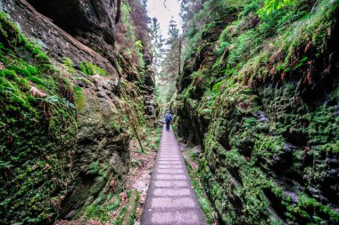 Bastei Ulusal Parkı 'ndaki Schwedenloecher Vadisi' nde yürüyüş. İsviçre, Elbe Nehri üzerindeki Elbe Kum Taşı Dağları, Almanya..