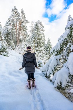 Çam ormanlarında bir patikası olan kış manzarası - dinlenmek için kış seyahatleri, Tirol, Avusturya.