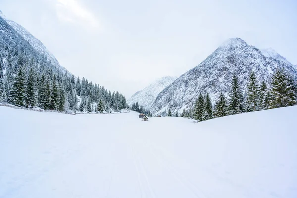 Lindas Paisagens Inverno Tirol Reutte Áustria — Fotografia de Stock