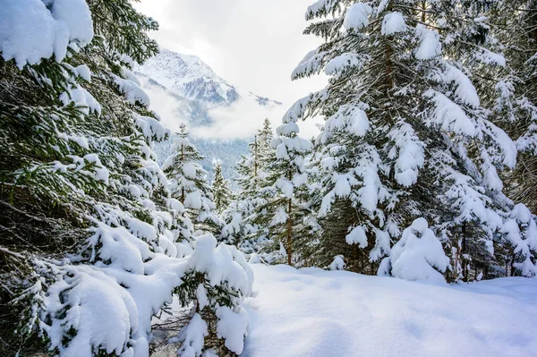 Hermoso Paisaje Invierno Tirol Reutte Austria — Foto de Stock