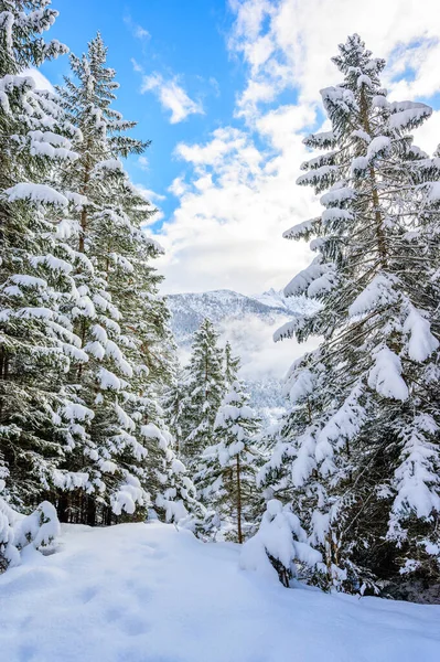 Hermoso Paisaje Invierno Tirol Reutte Austria — Foto de Stock