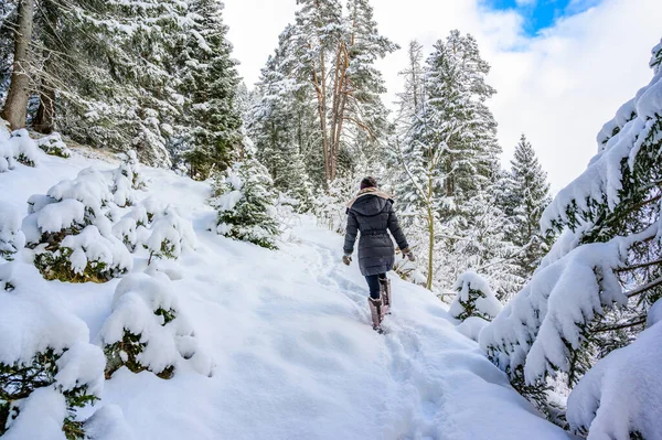 Vinterlandskap Med Sti Furuskog Vinterferiedestinasjon Rekreasjon Tirol Østerrike – stockfoto