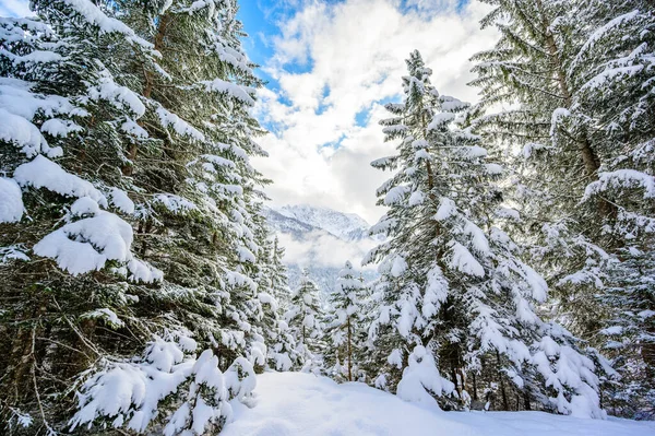 Hermoso Paisaje Invierno Tirol Reutte Austria — Foto de Stock