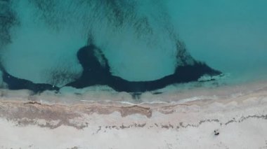 Deniz ve plaj üzerinde uçan.
