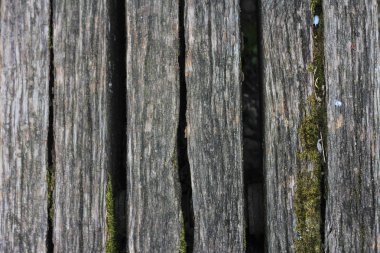 parke doku arka plan. Eski ahşap tahta doku arka plan