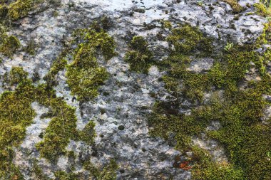 Taşların dokusu ve arkaplanı. Kaya dokusu