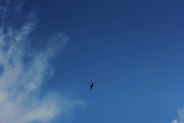 yaz bahar bulutlu mavi gökyüzü