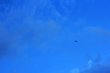 yaz bahar bulutlu mavi gökyüzü