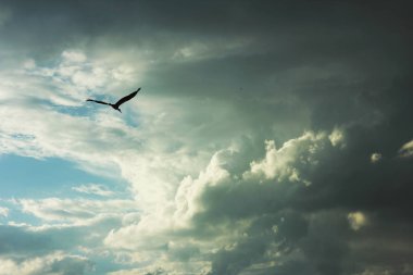 Fırtına bulutları arka planlar