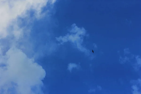 Yaz bahar bulutlu mavi gökyüzü — Stok fotoğraf