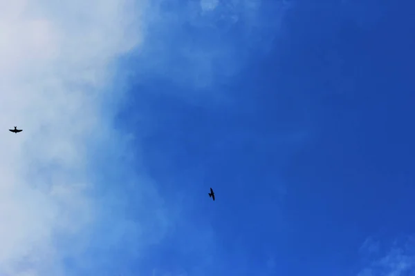 Sommer Frühling bewölkt blauer Himmel — Stockfoto