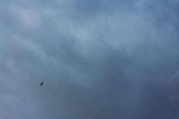 Gewitterwolken Hintergründe — Stockfoto