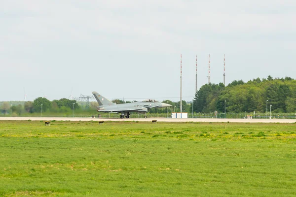 Berlino Germania Aprile 2018 Combattente Multiruolo Eurofighter Typhoon Sulla Pista — Foto Stock