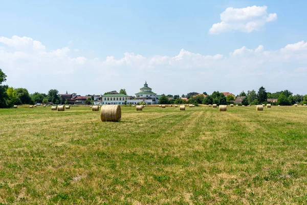 Heu Von Der Geernteten Getreideernte Auf Dem Feld — Stockfoto