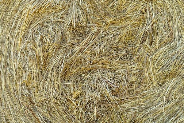 Pressed Hay Close Background — Stock Photo, Image