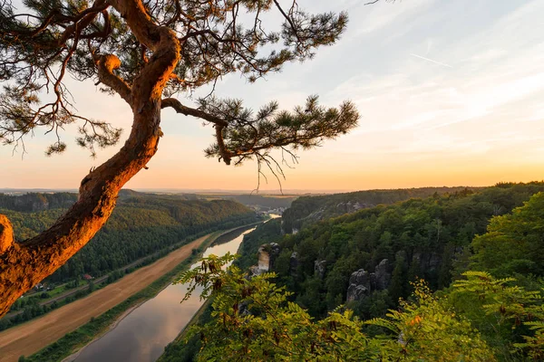 Sakson Sviçre Manzara Elbe Kumtaşı Dağları Alman Parçasıdır Elbe Nehri — Stok fotoğraf