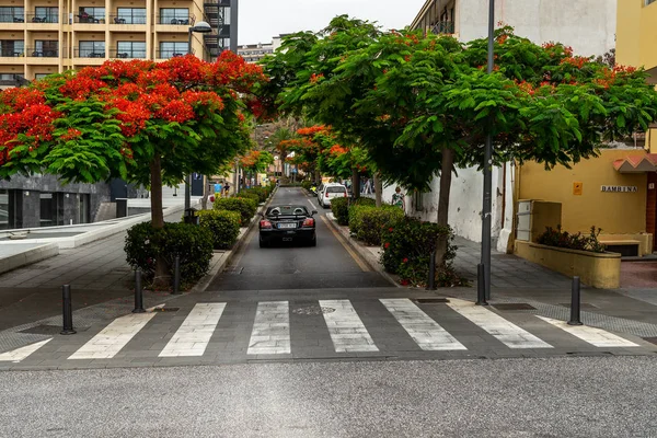 Puerto Cruz España Julio 2018 Calles Una Popular Ciudad Turística — Foto de Stock