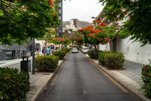 Puerto Cruz Spain Июля 2018 Года Улицы Популярного Туристического Города — стоковое фото