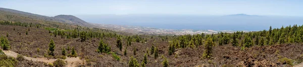 Vista Panorâmica Das Encostas Sul Campos Lava Vulcão Teide Tenerife — Fotografia de Stock