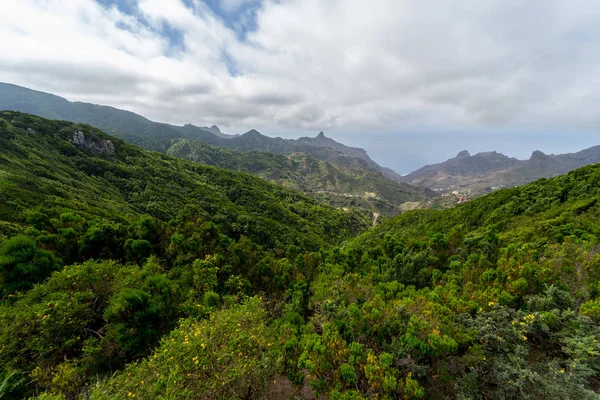 Macizo 阿那賀山脈の眺め テネリフェ島 カナリア諸島 スペイン — ストック写真