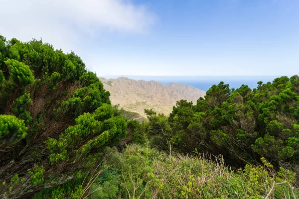 Blick Auf Die Macizo Anaga Bergkette Teneriffa Kanarische Inseln Spanien — Stockfoto