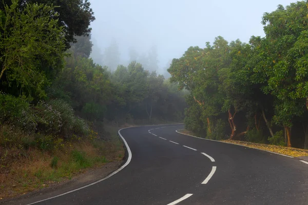 Estrada Asfalto Saindo Para Distância Nevoeiro Manhã — Fotografia de Stock