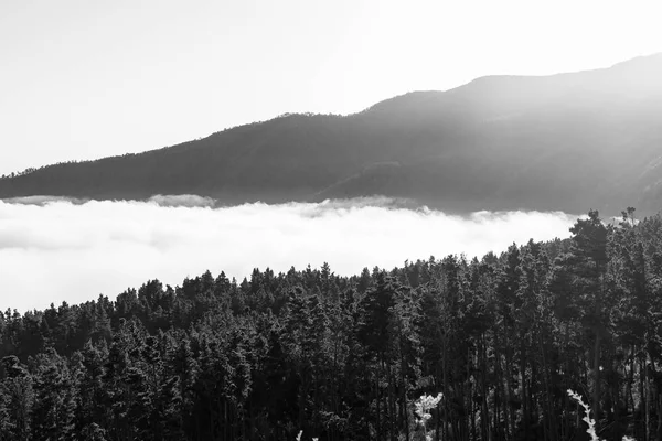 Vallée Montagne Matin Vue Dessous Les Nuages Ténérife Îles Canaries — Photo