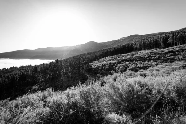 Vale Montanha Manhã Vista Debaixo Das Nuvens Tenerife Ilhas Canárias — Fotografia de Stock